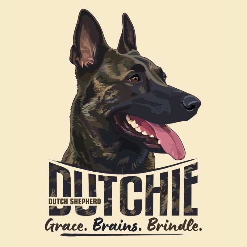 Dutchie - Holländischer Schäferhund