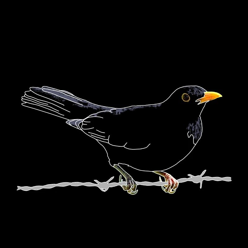 Amsel auf Stacheldraht