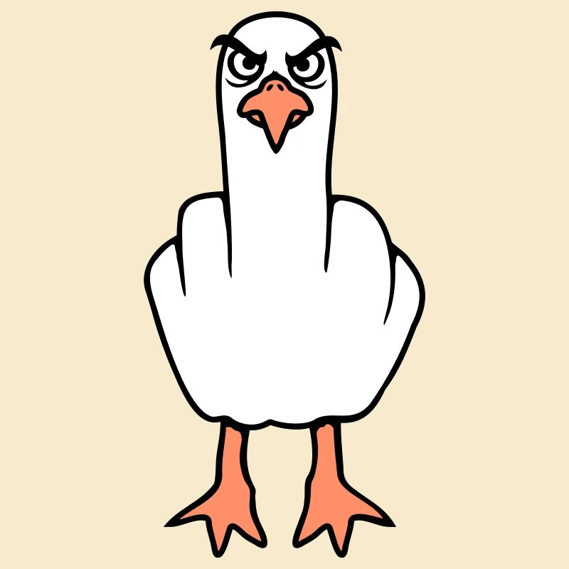 Möwe Mittelfinger Beleidigung Stinkefinger frech
