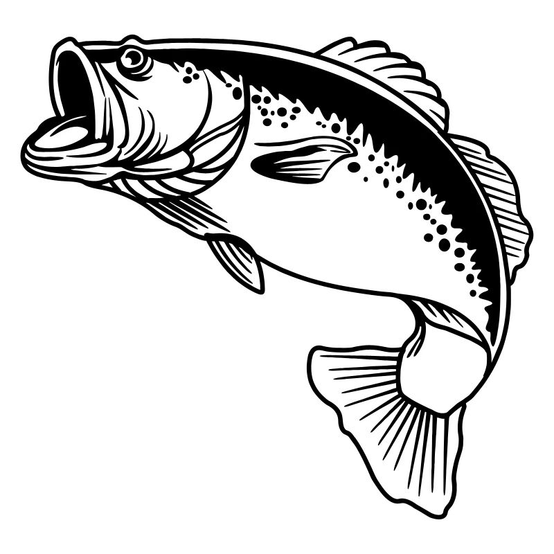 Logo transparent de poisson pour pêcheur