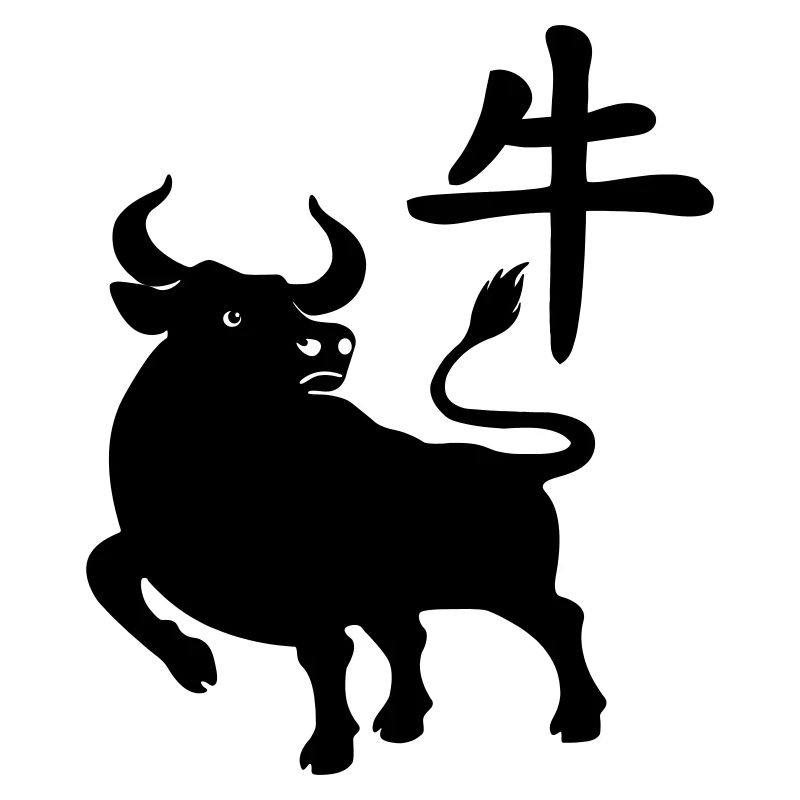 Caractère chinois OS avec image du système d’exploitation, ombre