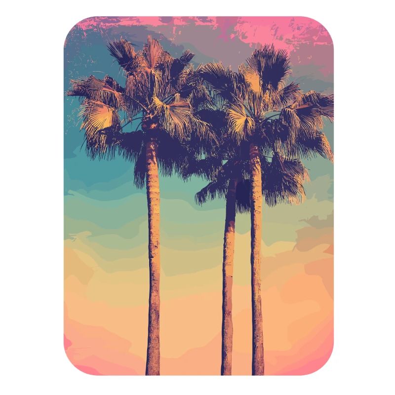 Palm Tree Sunset Summer Sun