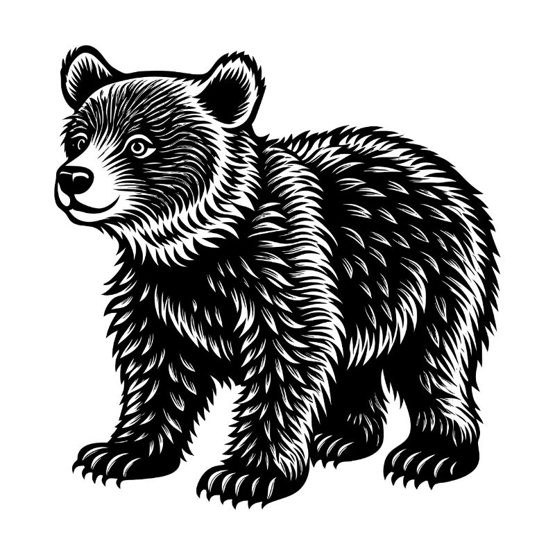 Bear cub