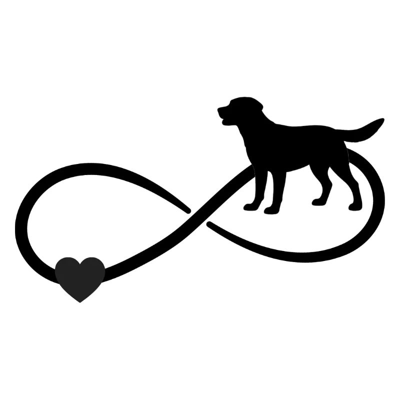Signe d’infini du Labrador