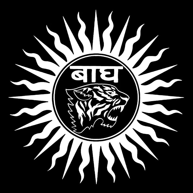 Indian tiger (white)