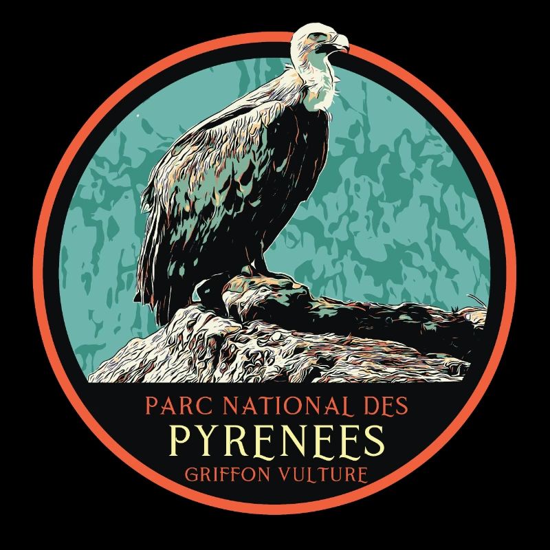 Vautour dans le Parc National des Pyrénées