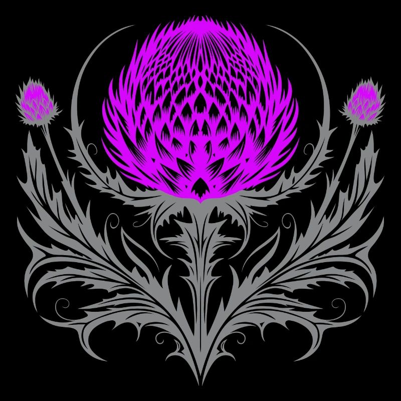 Distel Tattoo Scottish Thistle Botanical Art
