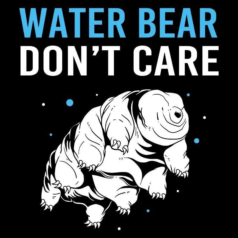 Tardigrade Tardigrade Water Bear Tardigrade