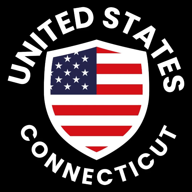 Flagshield USA Emblem