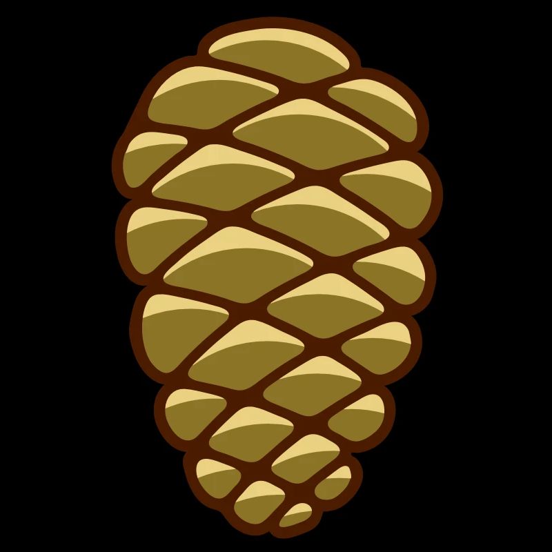 Un cône de pin