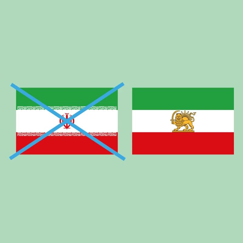 Smashed Iran flags
