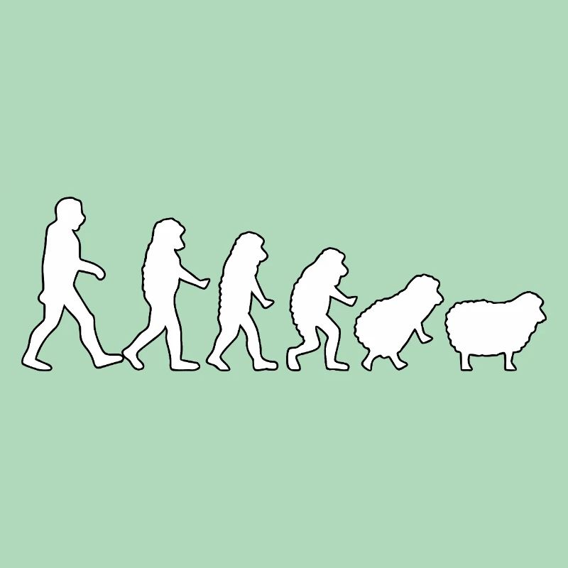 Evolution zum Schaf: Herdendenkweise