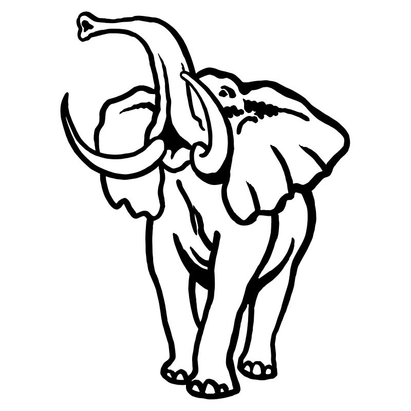 African Elephant I Bull