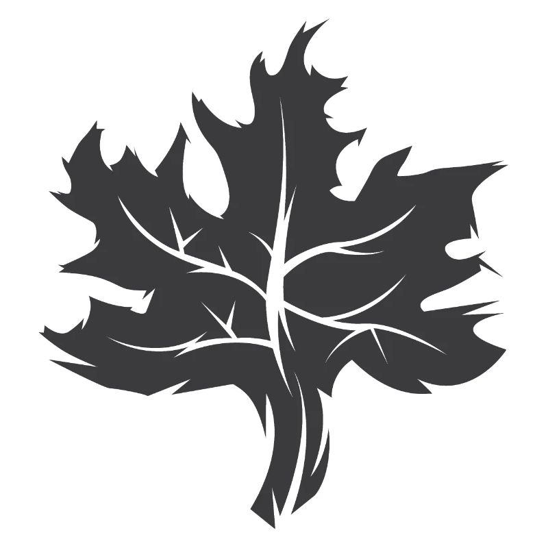 Maple Leaf Illustration Nature Forest Icône graphique