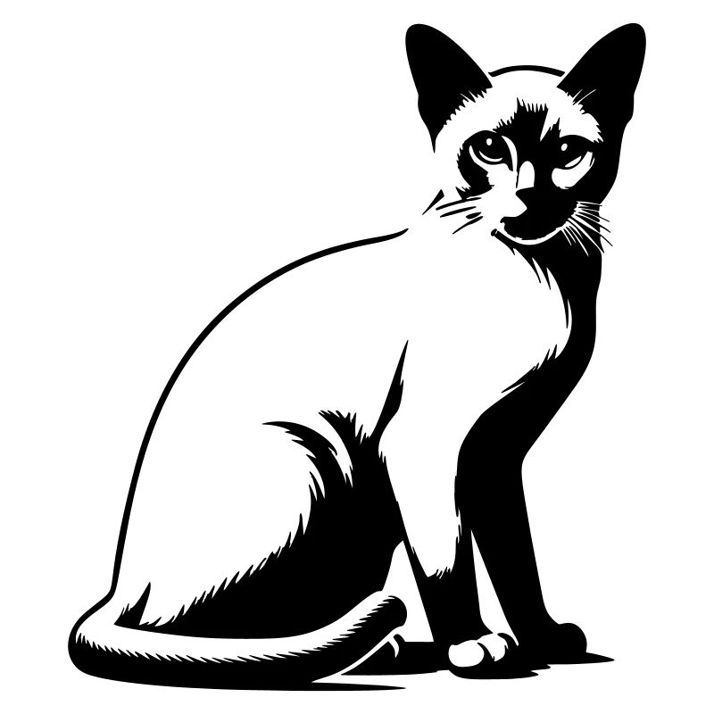 Chat birman
