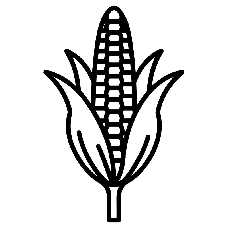 corn on the cob