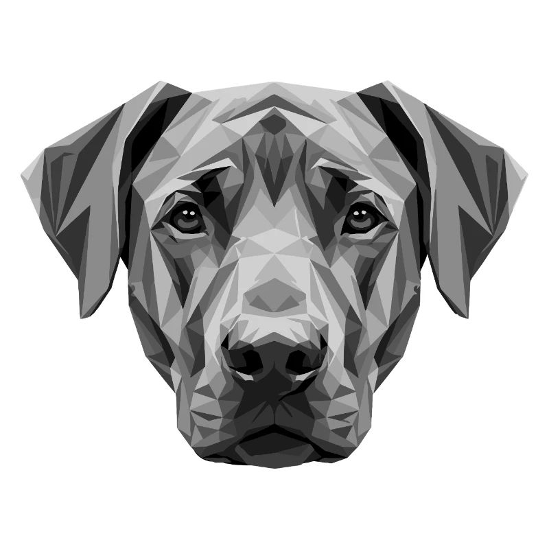 Rhodesian Ridgeback Jagdhund Hunde Stolz Ridgeback