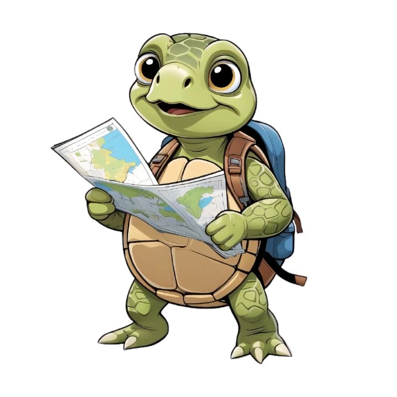 Adventure trend turtle trip