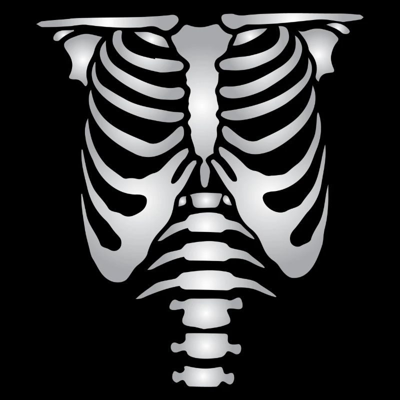 Human skeleton bones torso
