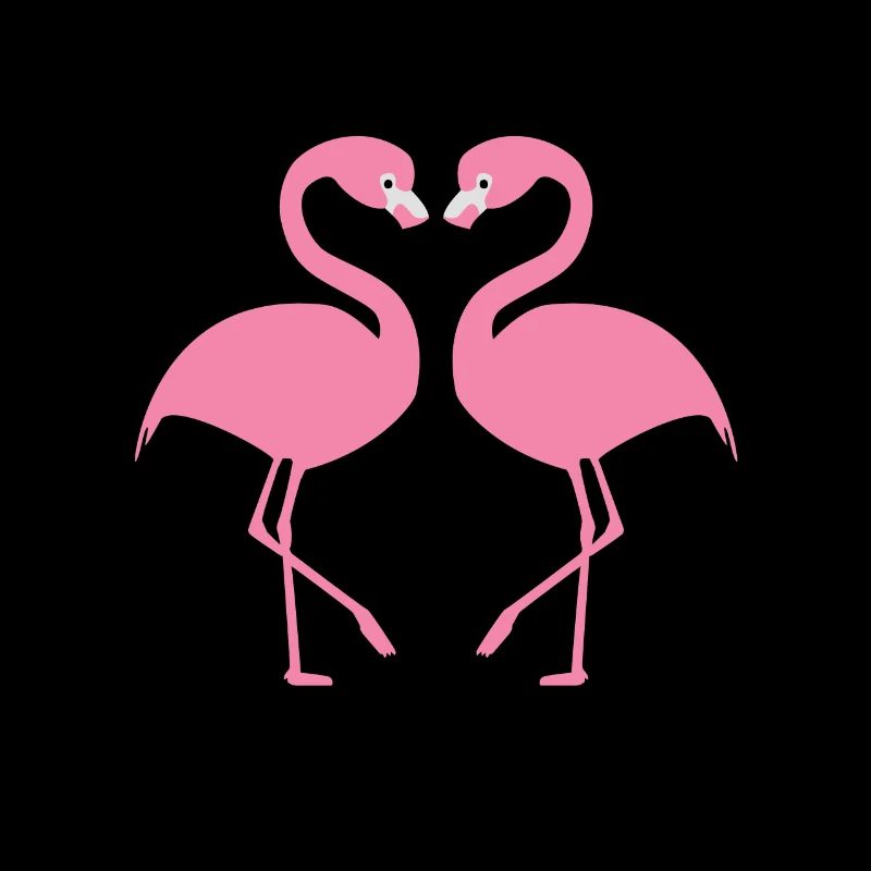flamingos