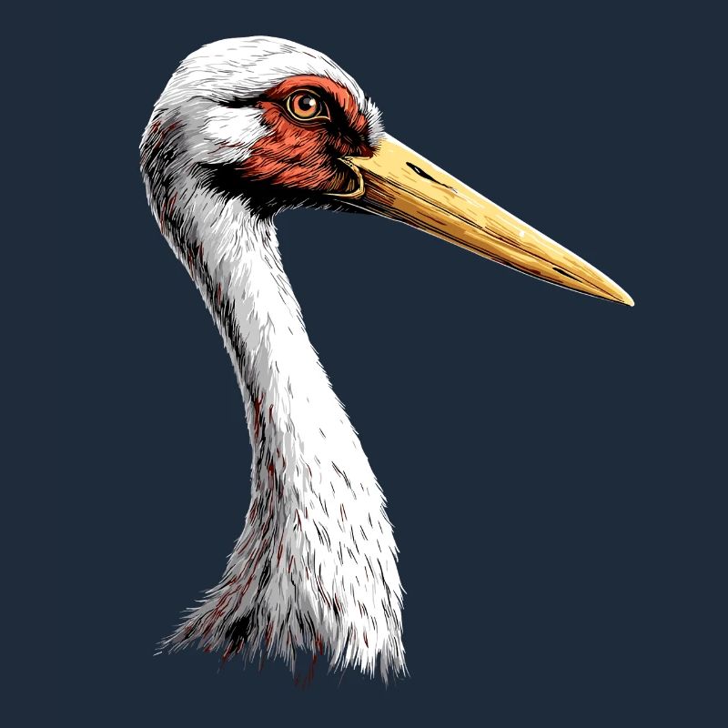 Stork Lover White Stork Giant Stork Storks Storks