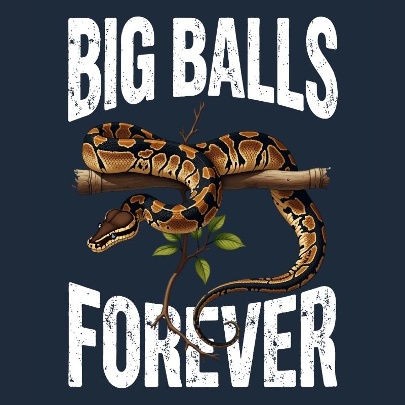 King Python Snakes Lover Terrarium Python