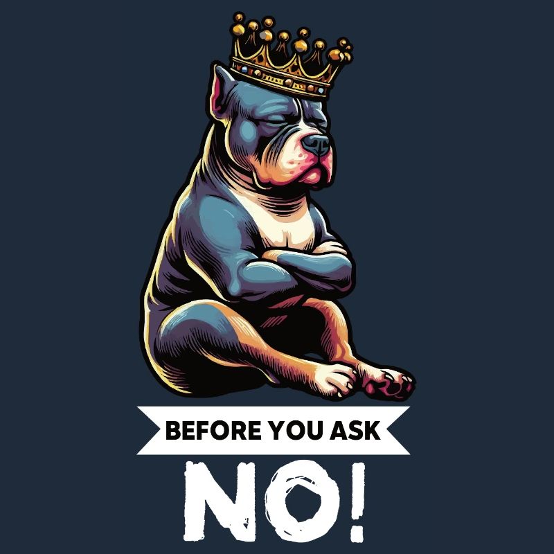 Before You Ask American Bully Bully Pit Bullys