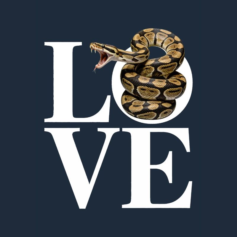 Les serpents rois Python ADORENT les pythons de terrarium