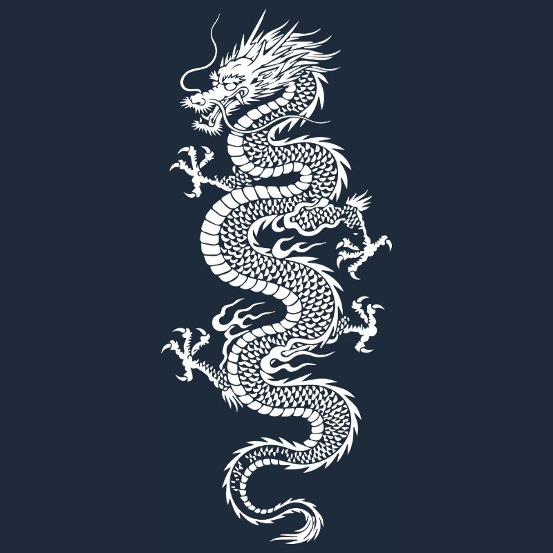 Silhouette du Dragon Blanc