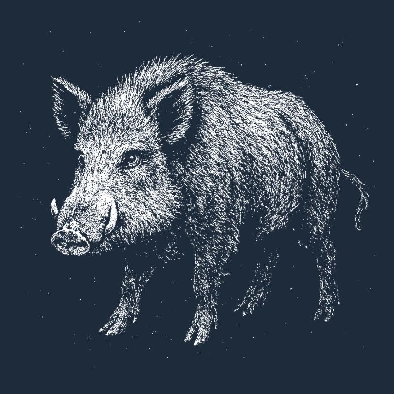 Wild boar