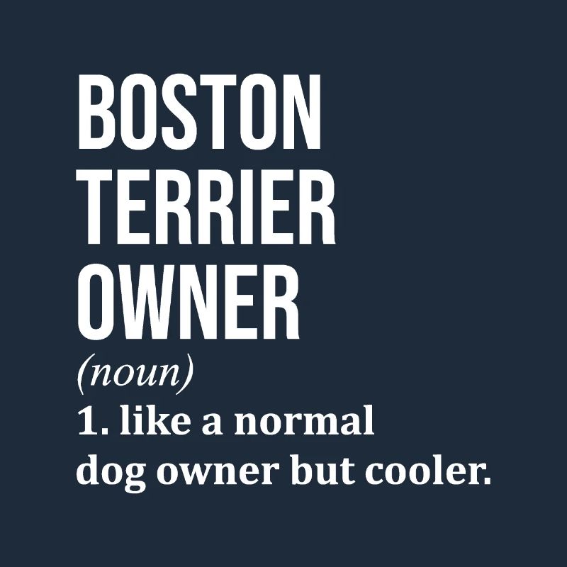 Boston Terrier