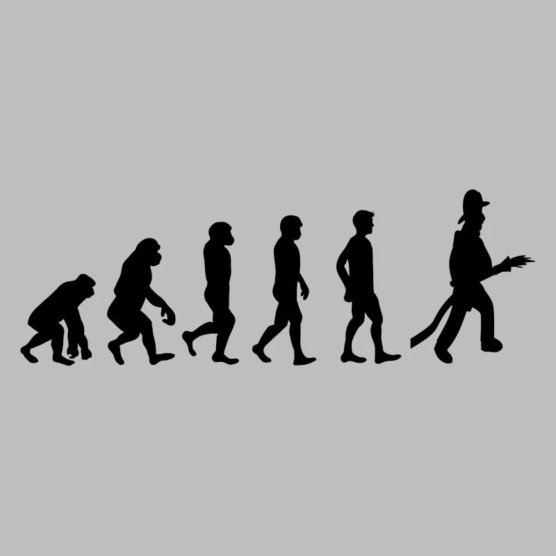 Fire evolution