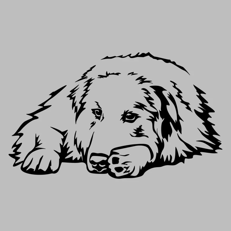 Pyreneenberghund