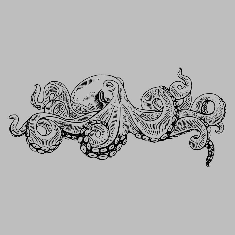Octopus - Octopus Black Pattern