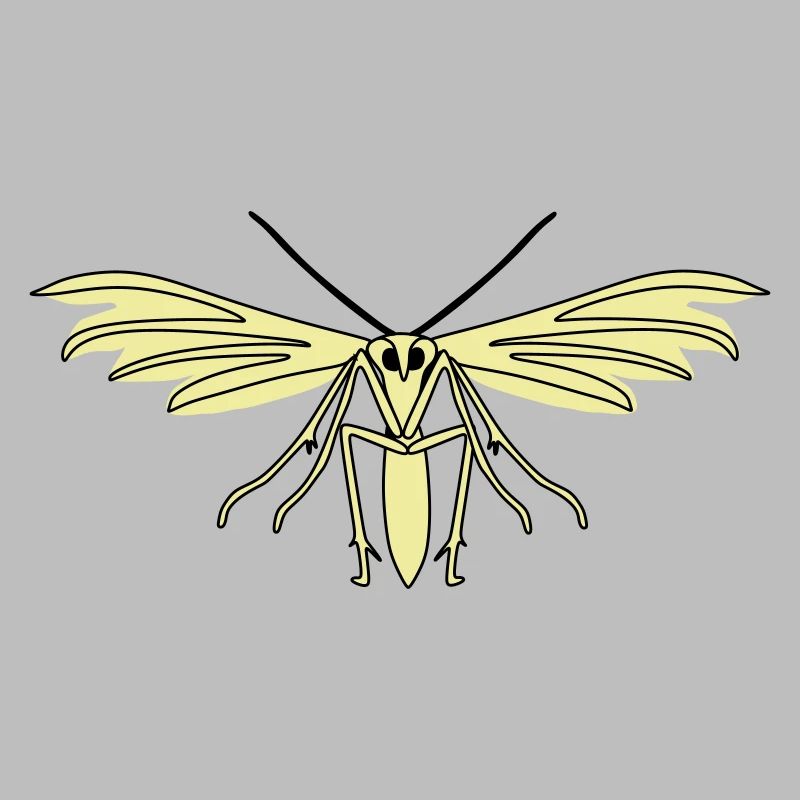 Feather moth