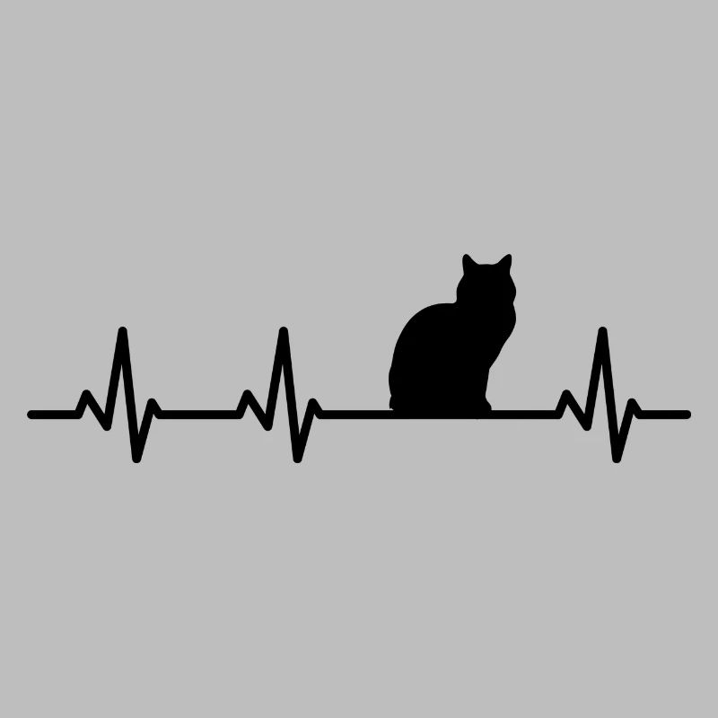Cat pulse rate