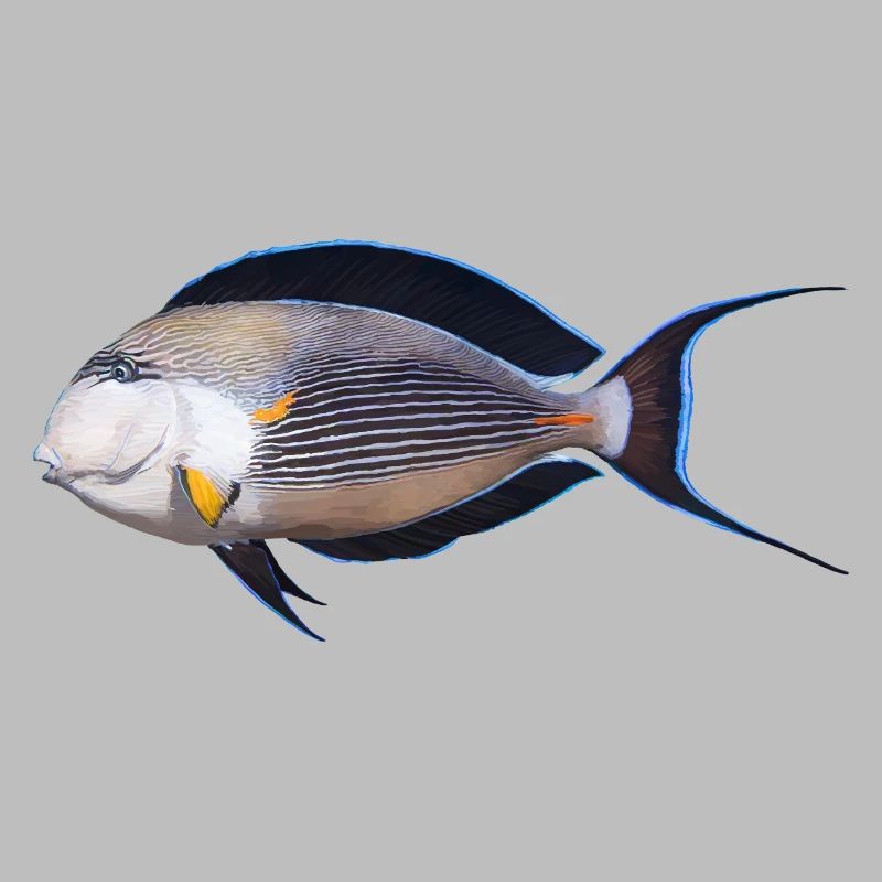 Fish