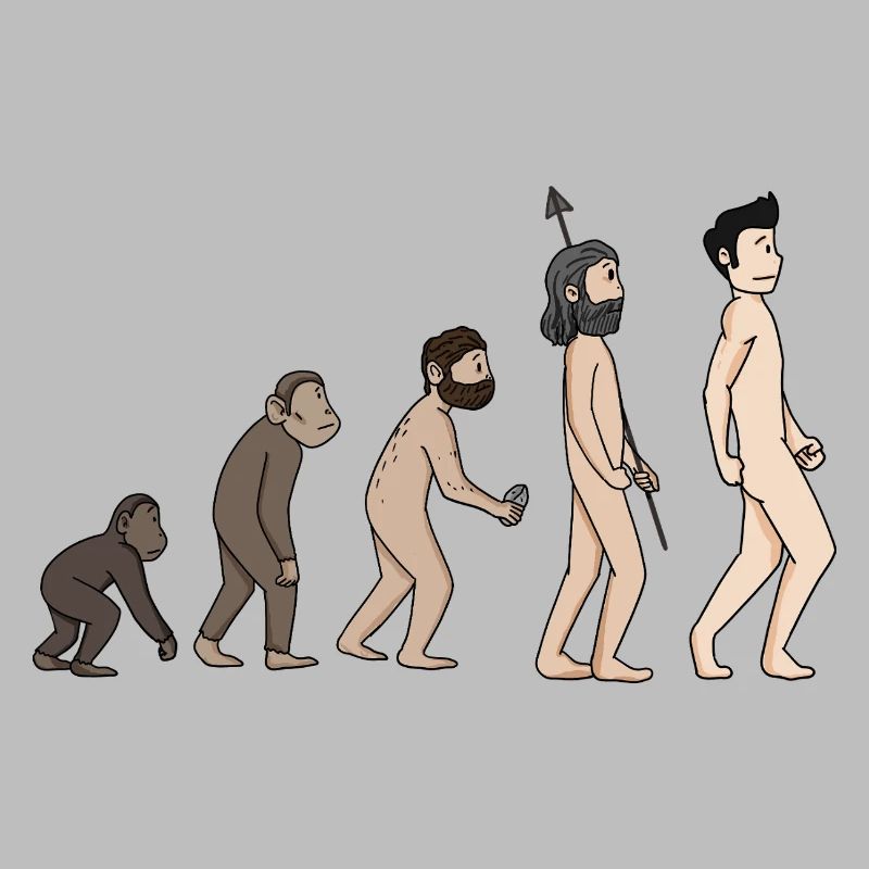 Human Development - Evolution Illustration