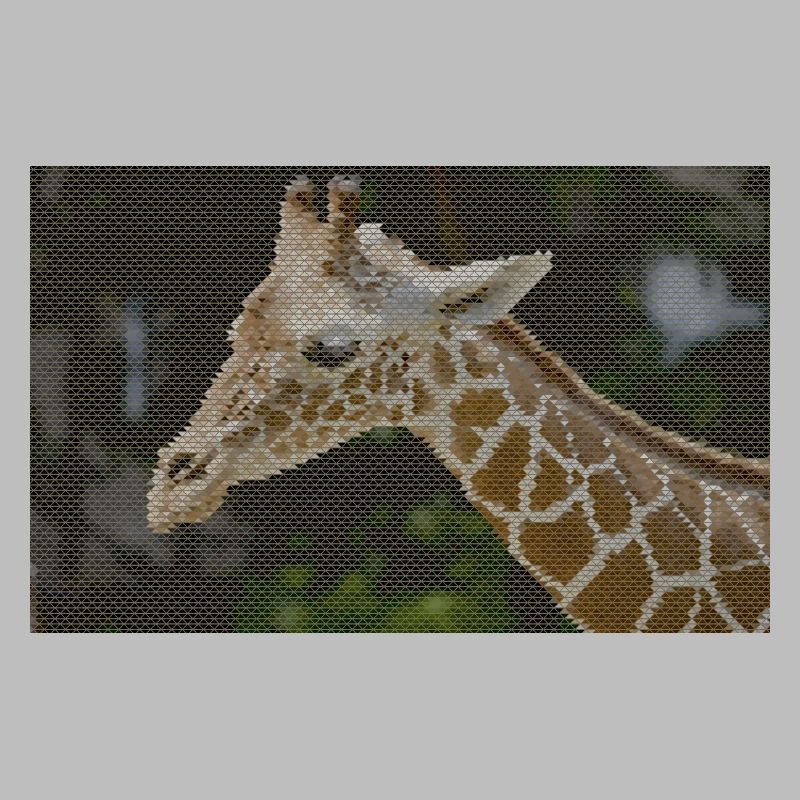 Giraffe with triangle pattern