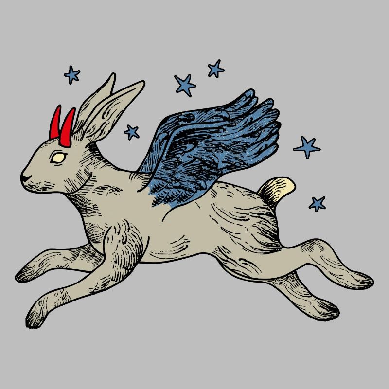 Winged hare in star flight