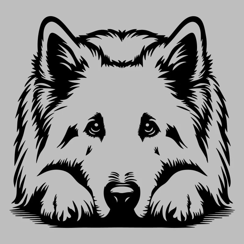Schweizer Schäferhund