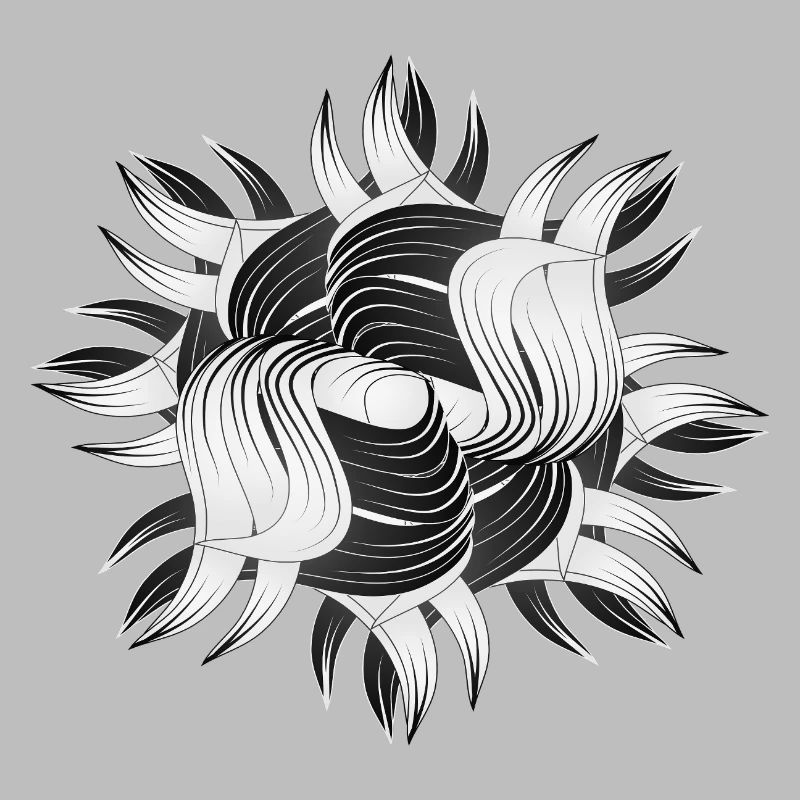 Abstrakte Formen – Dynamisches Schwarz-Weiß Design