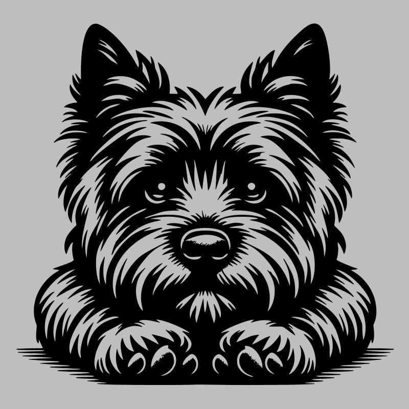 Cairn Terrier Head with Paws