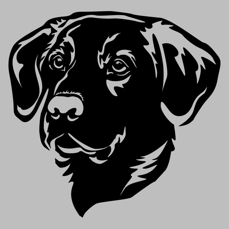 Labrador Head
