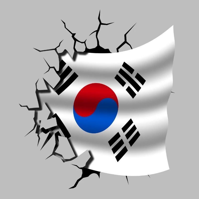 Drapeau de la Corée - Corée - Drapeau Broken Design