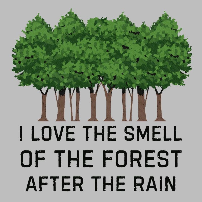 Forest after the rain