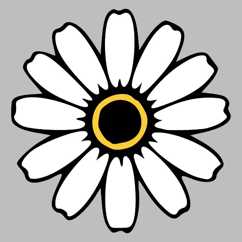 Fleurs blanches Fleurs blanches Fleurs blanches Fleurs sauvages Herbes