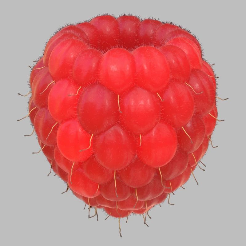 Raspberry Cluster Pattern