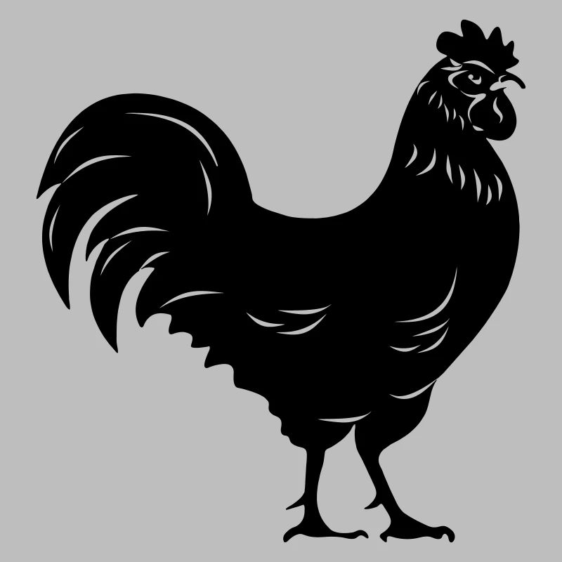 Rooster black transparent Shadow image