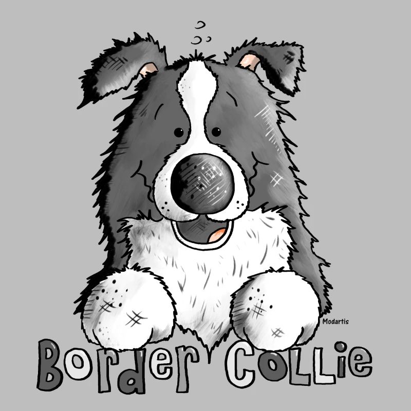 Petit Boder Collie - Chien de Berger